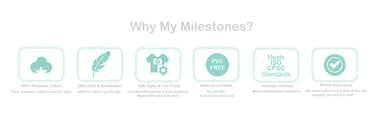 why-my-milestones