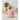 Embroidered Full Sleeves Bodysuit - MyMilestones 