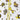 Baby Sleep Sack - Muslin - Zoo Yellow - MyMilestones 