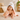 #color_tropical-peach