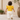 Daffodil Ruffle Tee & Jogger Co-ord Set - MyMilestones 