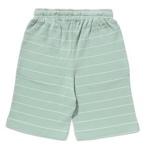 Shorts - Boys - Color Print Block - Sage Green